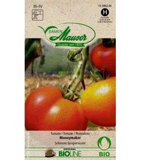 Tomate Moneymaker Bio