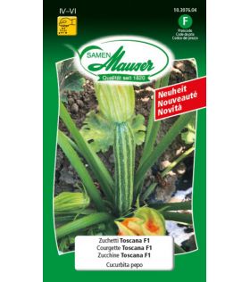Courgettes Toscana F1