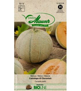 BIO Melon Cantalupo di Charentais