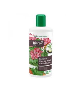 Biorga vital Cure de base Hauert 1l