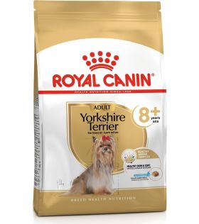 Yorkshire Terrier Adult 8+