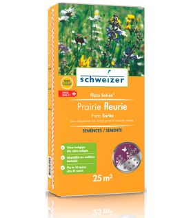 Semence - Prairie fleurie